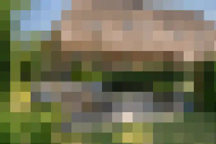 Goringbos 7 Gees thumbnail 4