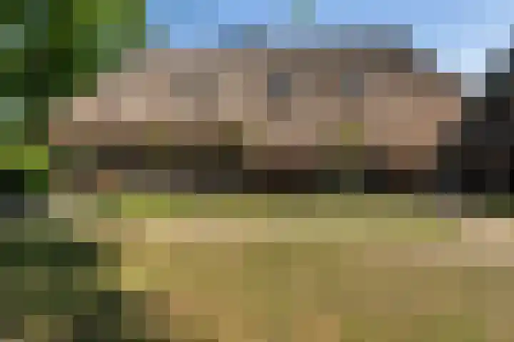 Goringbos 7 Gees thumbnail 40