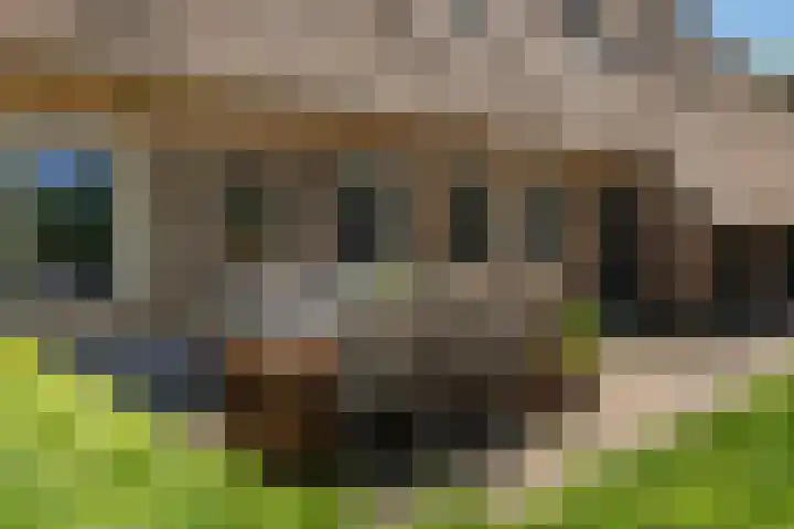 Goringbos 7 Gees thumbnail 41