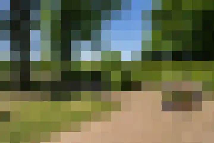 Goringbos 7 Gees thumbnail 42
