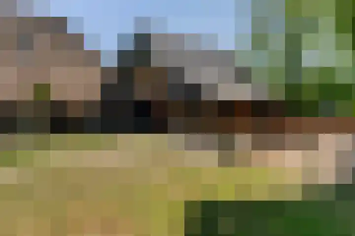 Goringbos 7 Gees thumbnail 44