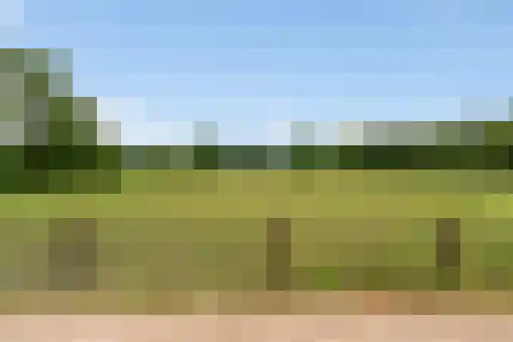 Goringbos 7 Gees thumbnail 46