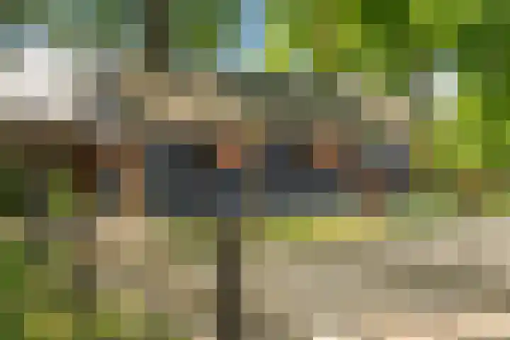 Goringbos 7 Gees thumbnail 48