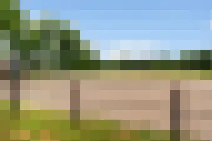 Goringbos 7 Gees thumbnail 49