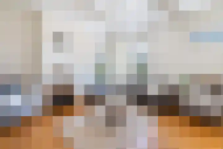 Goringbos 7 Gees thumbnail 5