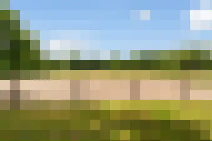 Goringbos 7 Gees thumbnail 50