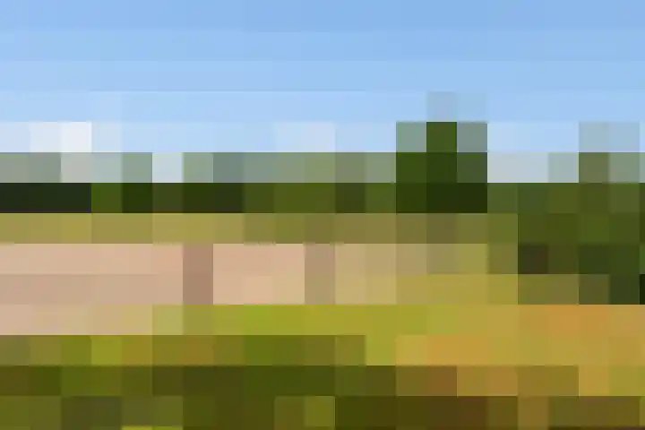 Goringbos 7 Gees thumbnail 51