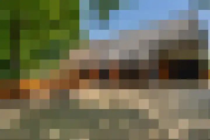 Goringbos 7 Gees thumbnail 52