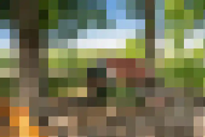 Goringbos 7 Gees thumbnail 54