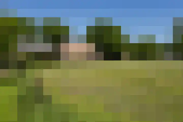 Goringbos 7 Gees thumbnail 55