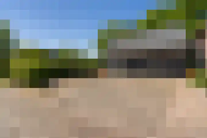 Goringbos 7 Gees thumbnail 57