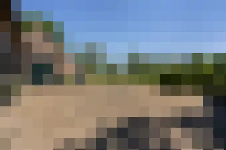 Goringbos 7 Gees thumbnail 59