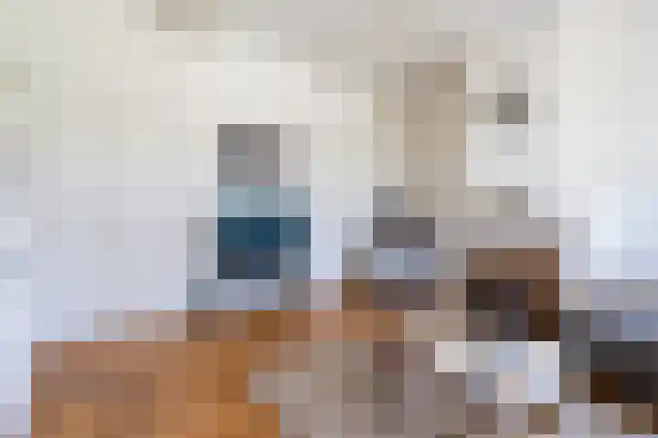 Goringbos 7 Gees thumbnail 6