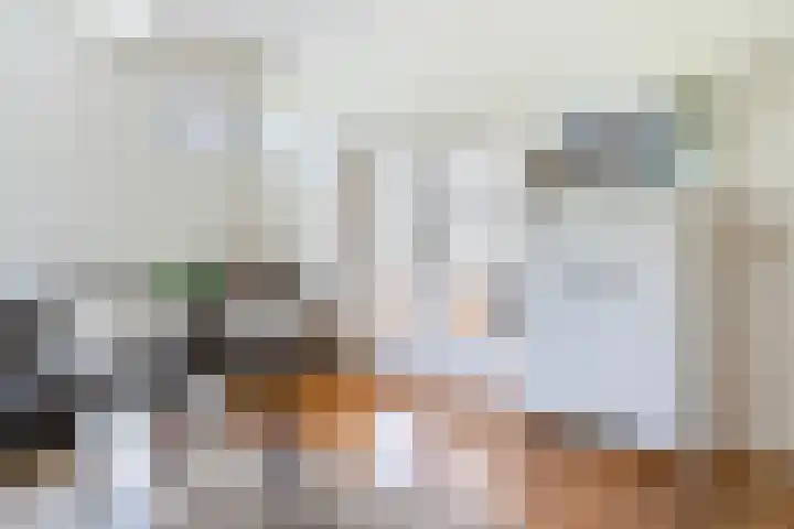 Goringbos 7 Gees thumbnail 7