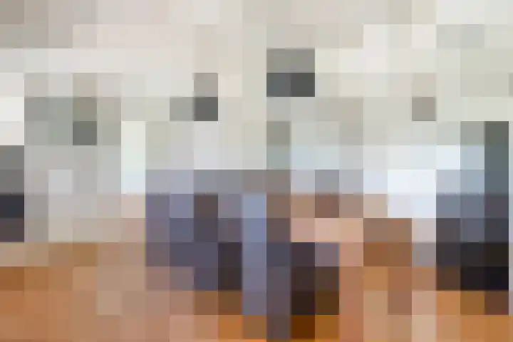 Goringbos 7 Gees thumbnail 9
