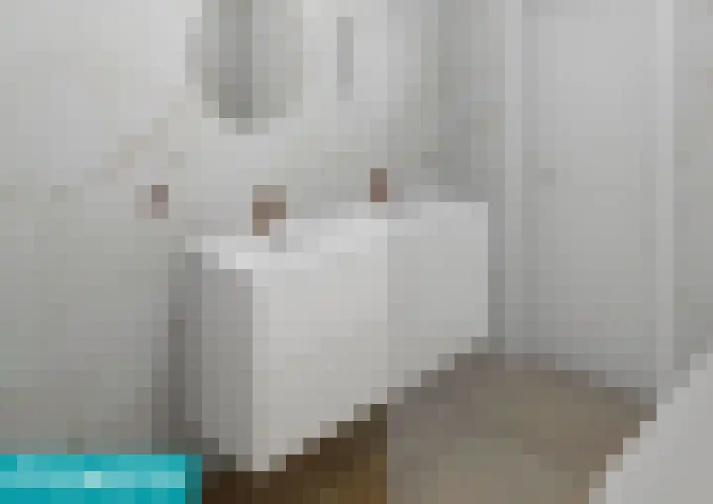 Gorishoeksedijk 41 Scherpenisse thumbnail 61