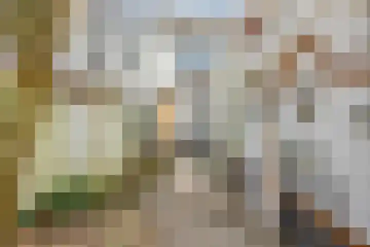 Gorisstraat 24 Nijmegen thumbnail 65