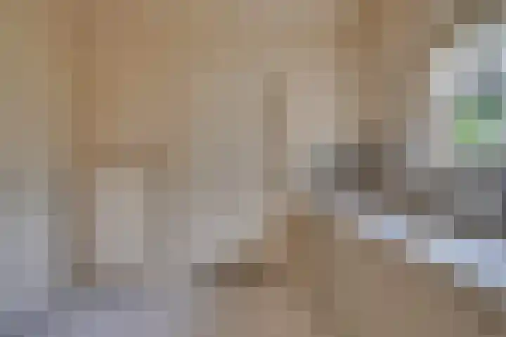 Gorizialaan 13 Venlo thumbnail 15