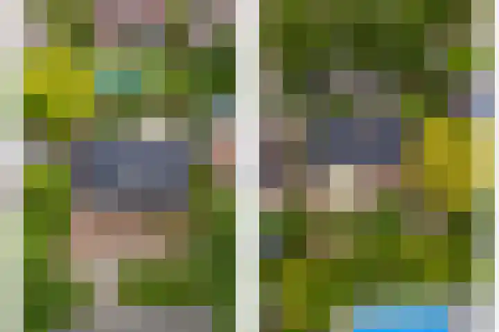 Gorizialaan 13 Venlo thumbnail 51