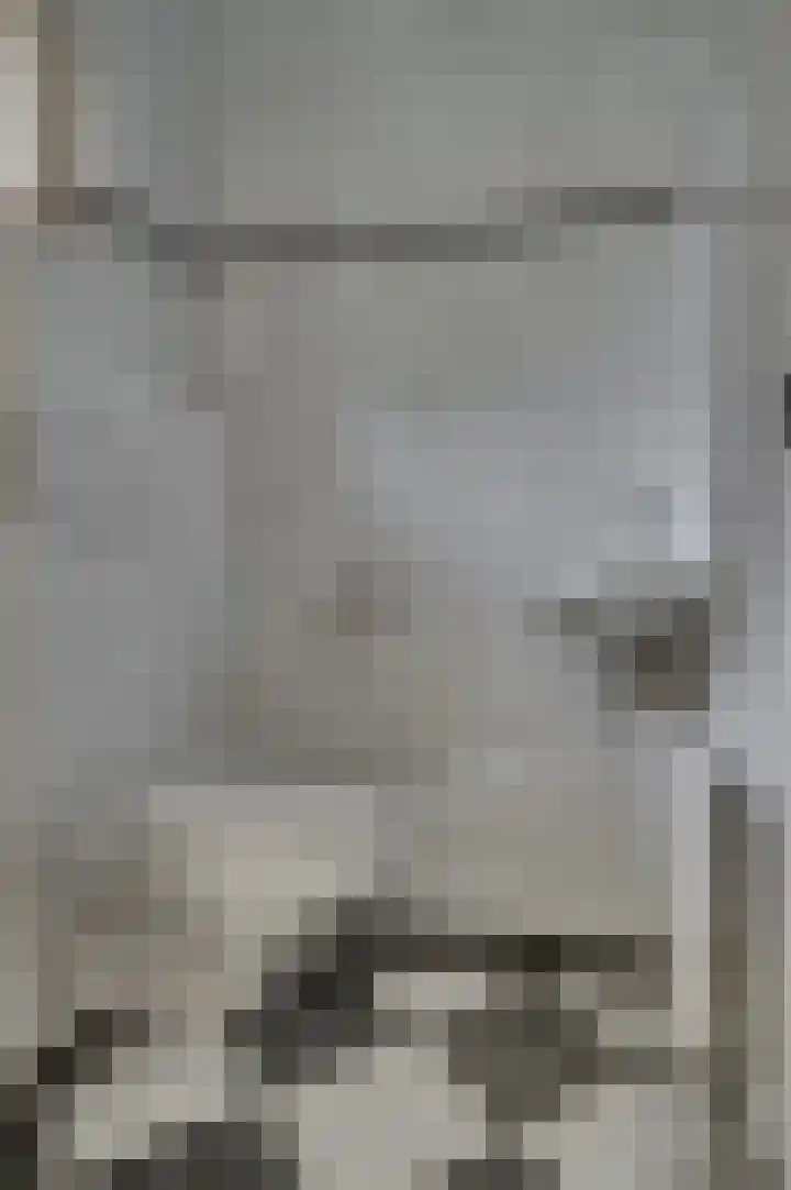 Gorizialaan 13 Venlo thumbnail 6