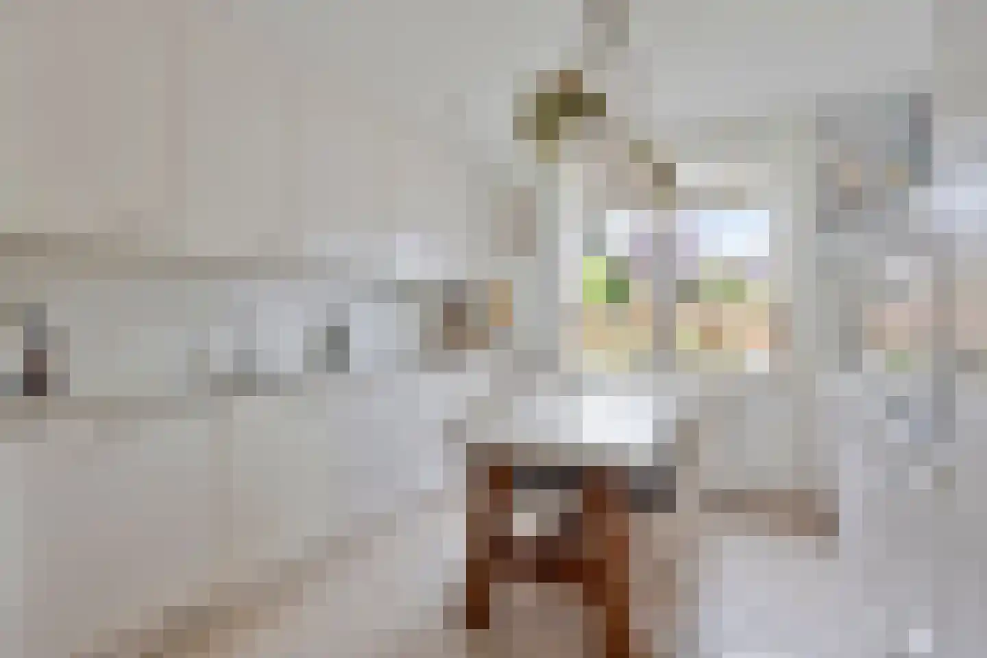 Gorlooplaan 8 Waalre thumbnail 11