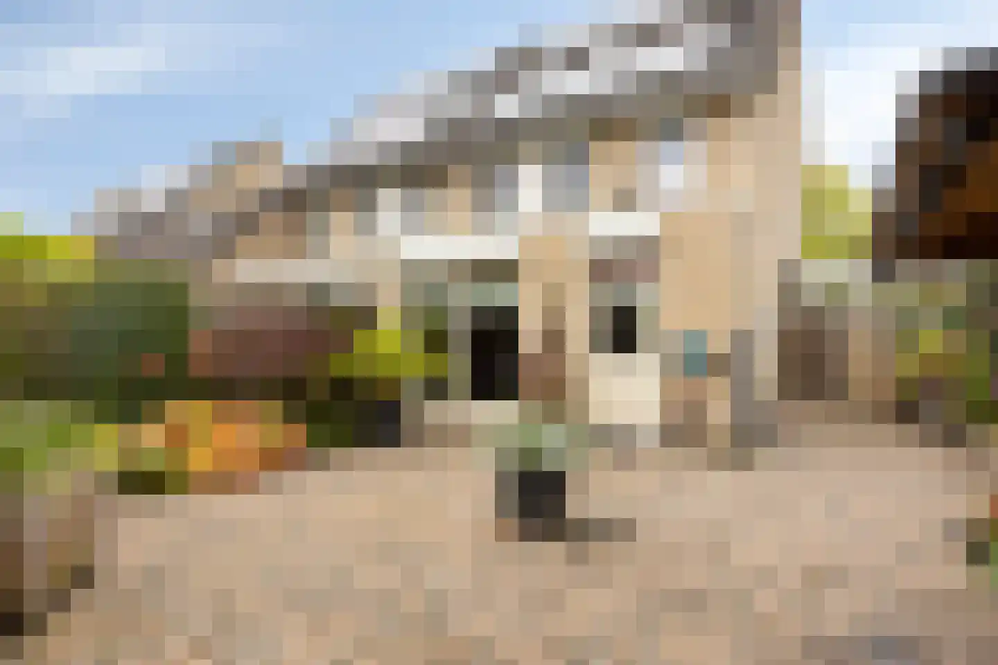 Gorlooplaan 8 Waalre thumbnail 4