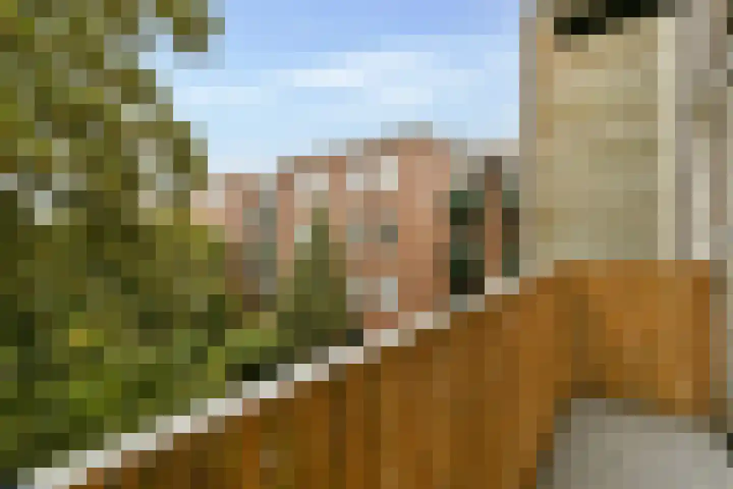 Gorontalostraat 4 C Amsterdam thumbnail 10