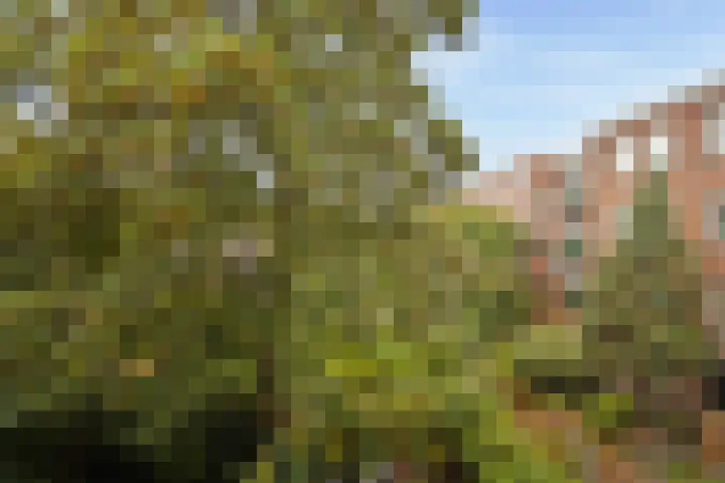 Gorontalostraat 4 C Amsterdam thumbnail 12