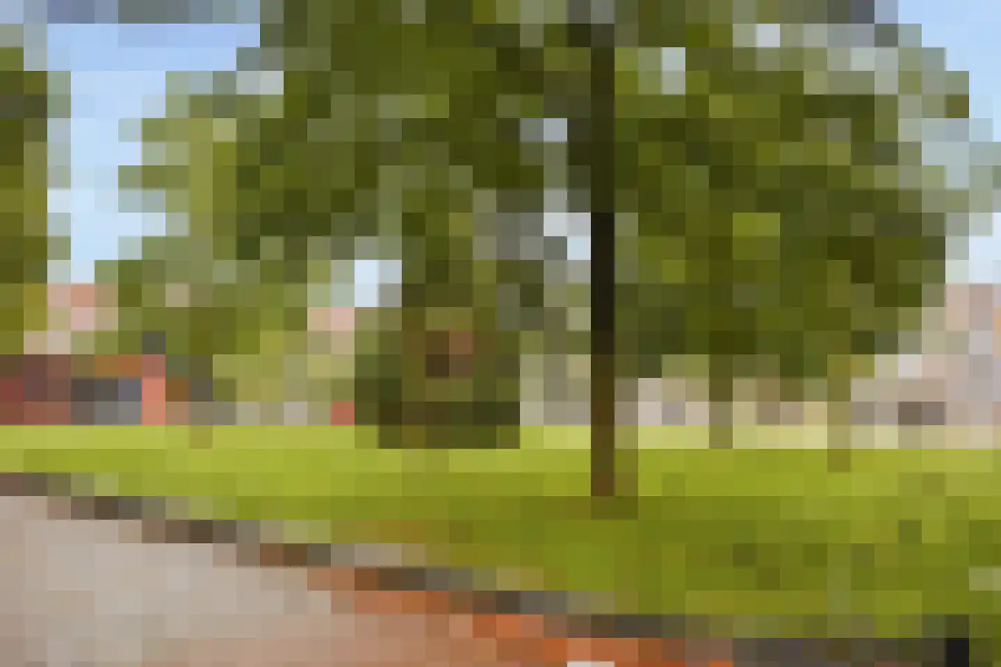 Gorontalostraat 4 C Amsterdam thumbnail 23