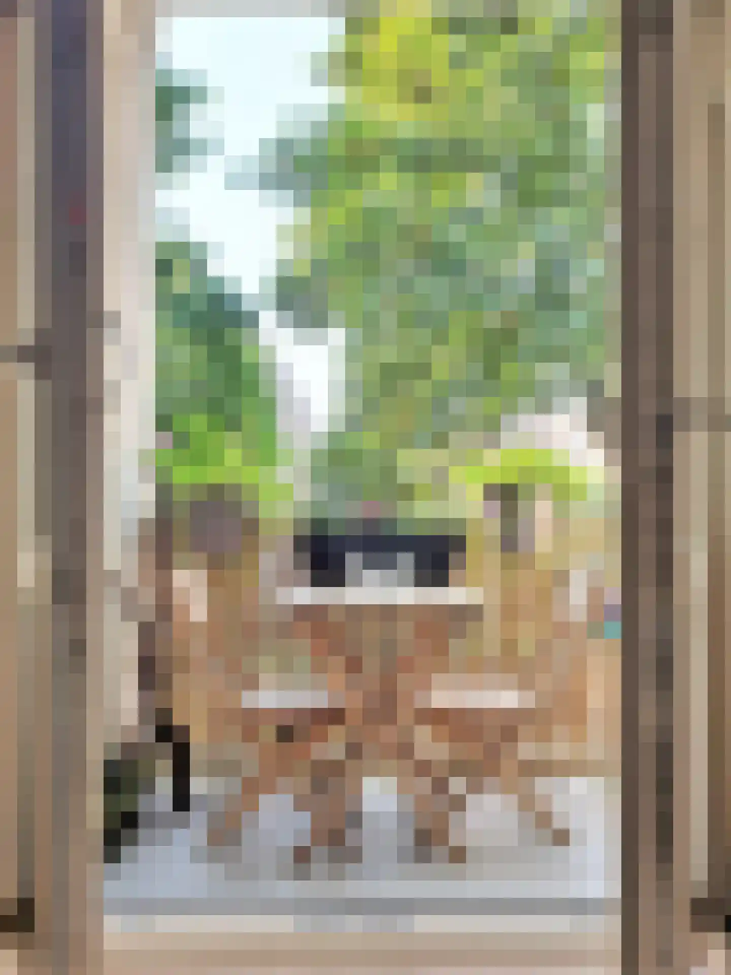 Gorontalostraat 6 B Amsterdam thumbnail 16