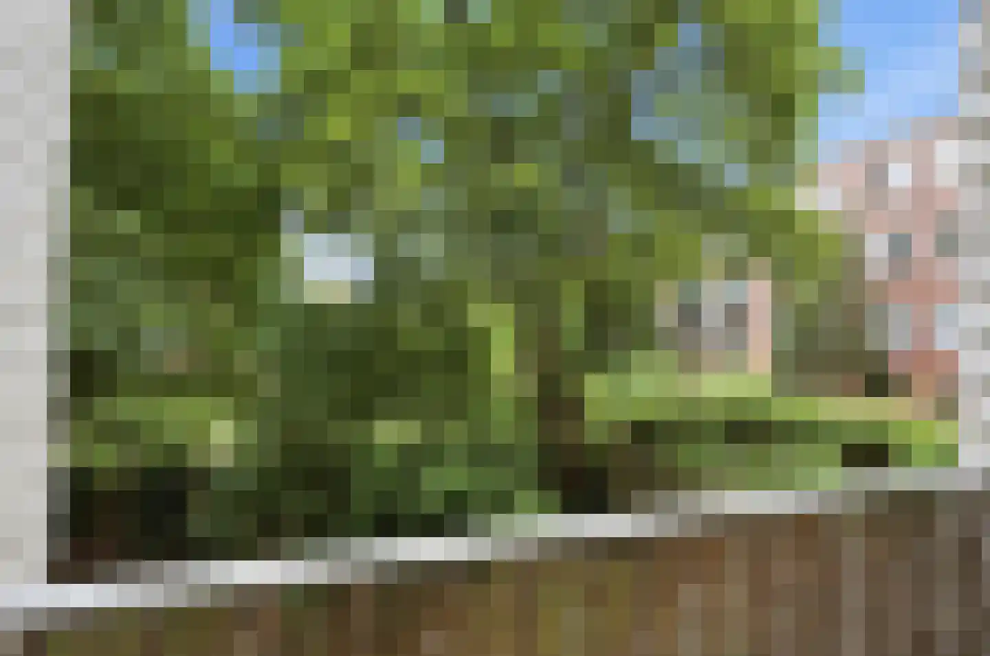 Gorontalostraat 6 B Amsterdam thumbnail 27