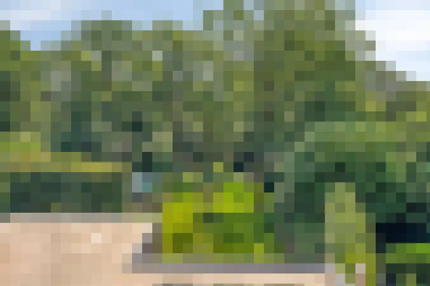 Gorpeind 5 Baarle-Nassau thumbnail 25