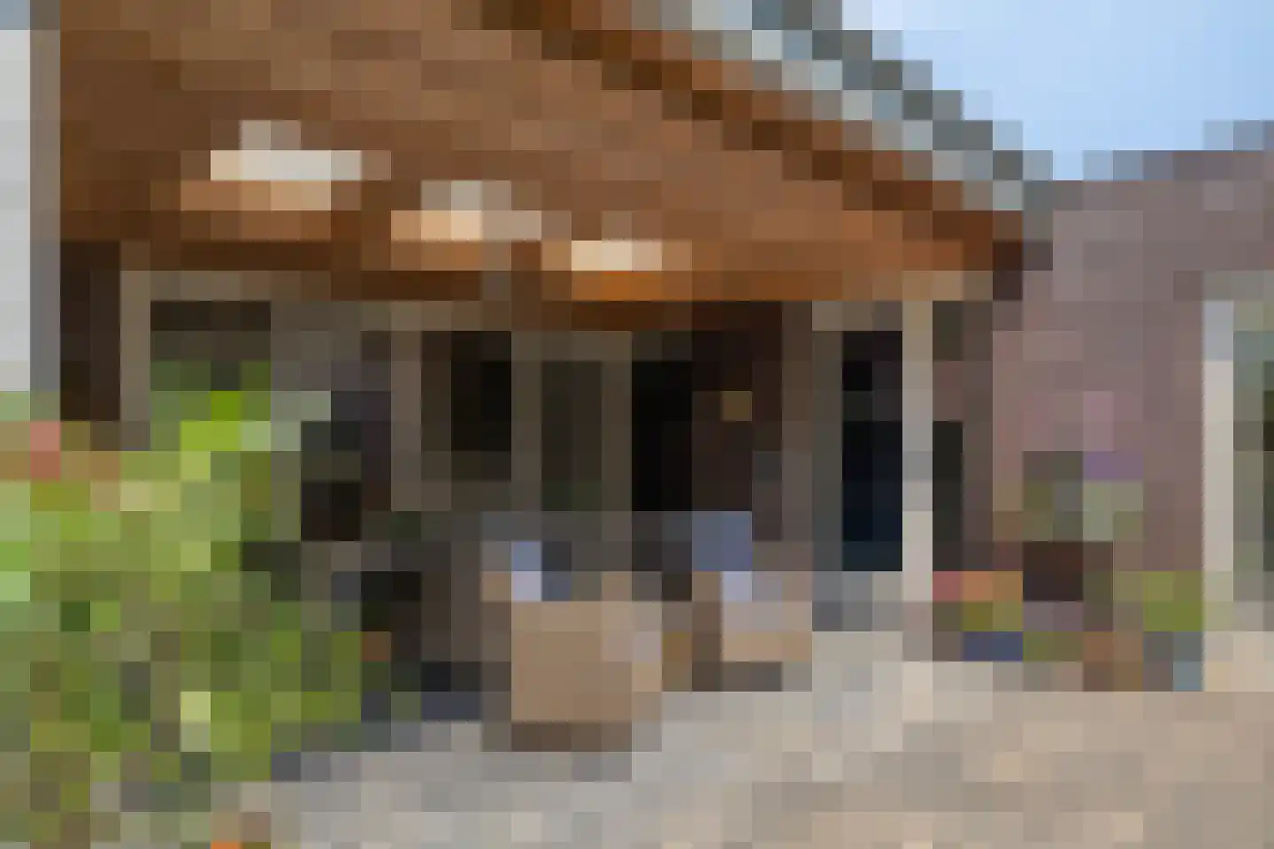 Gorpeind 5 Baarle-Nassau thumbnail 32