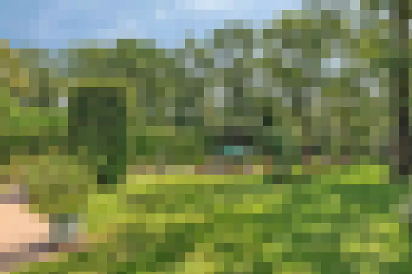 Gorpeind 5 Baarle-Nassau thumbnail 33