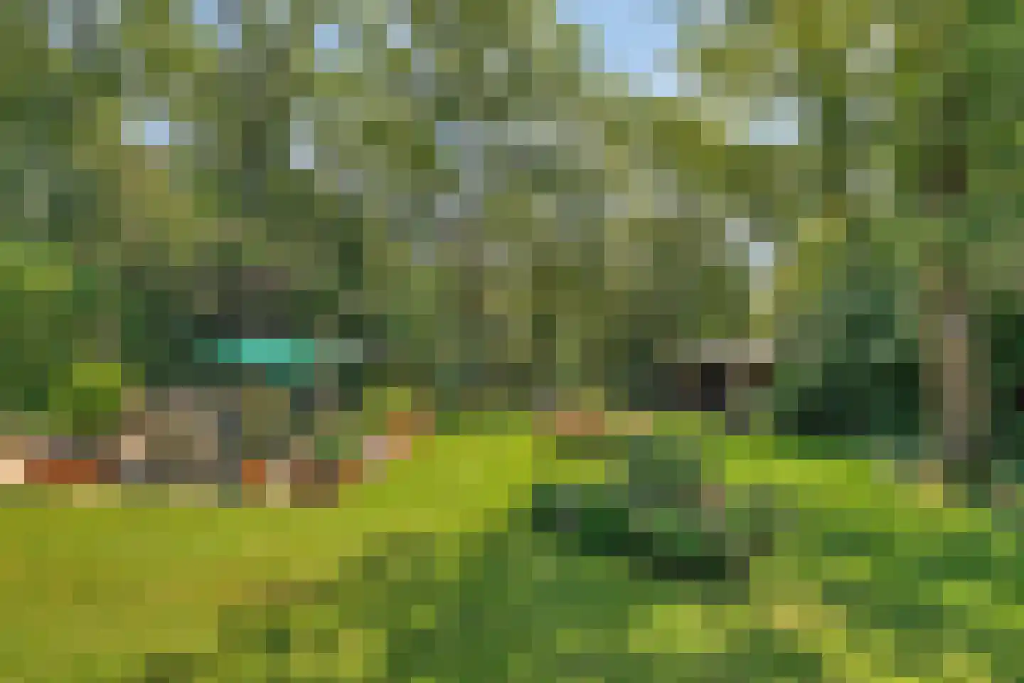 Gorpeind 5 Baarle-Nassau thumbnail 34