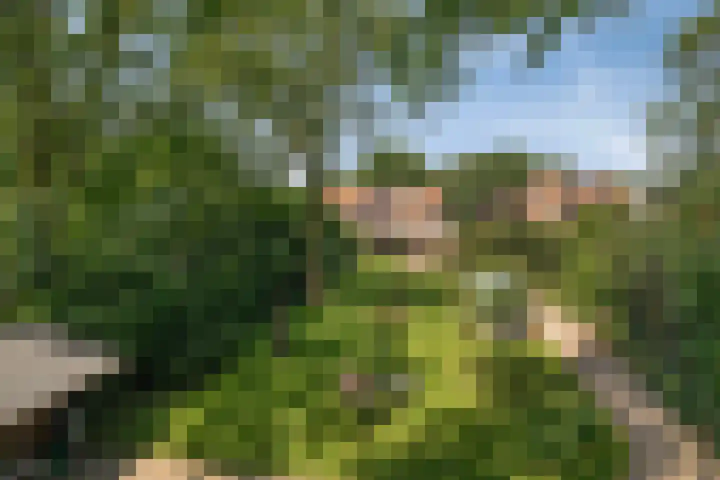 Gorpeind 5 Baarle-Nassau thumbnail 42