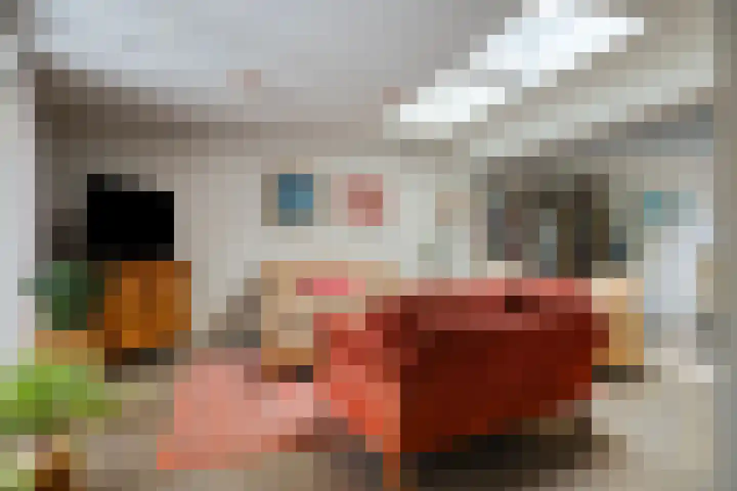 Gorpeind 5 Baarle-Nassau thumbnail 7