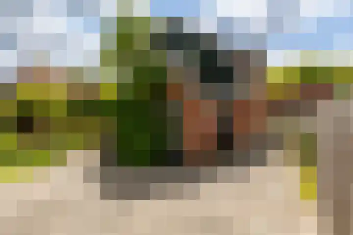 Gorredijksterweg 40 Jubbega thumbnail 35