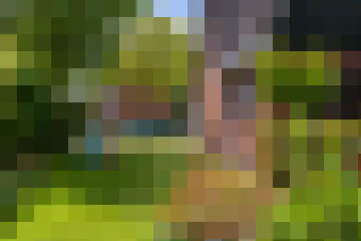 Gorredijksterweg 40 Jubbega thumbnail 36