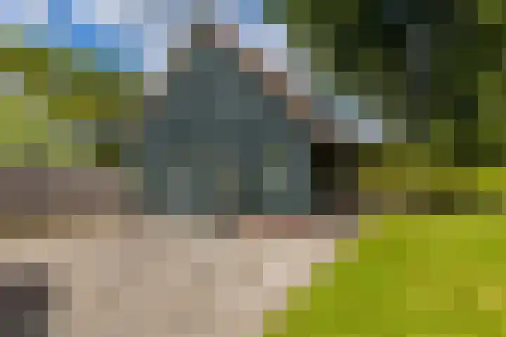 Gorredijksterweg 40 Jubbega thumbnail 38