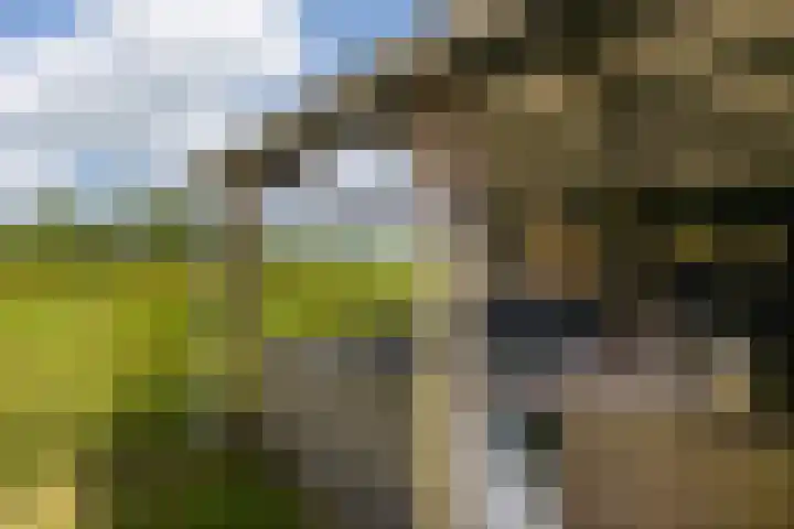 Gorredijksterweg 40 Jubbega thumbnail 39