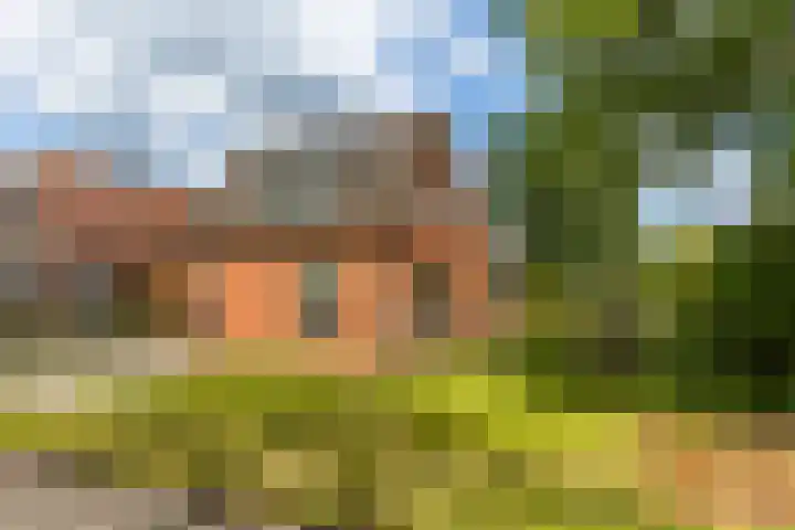 Gorredijksterweg 40 Jubbega thumbnail 42