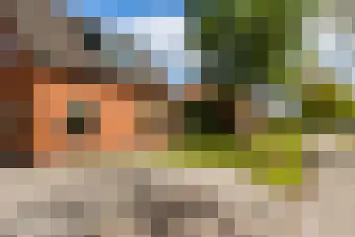 Gorredijksterweg 40 Jubbega thumbnail 44