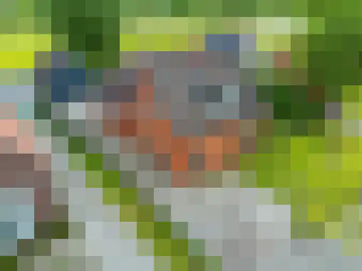 Gorredijksterweg 40 Jubbega thumbnail 52