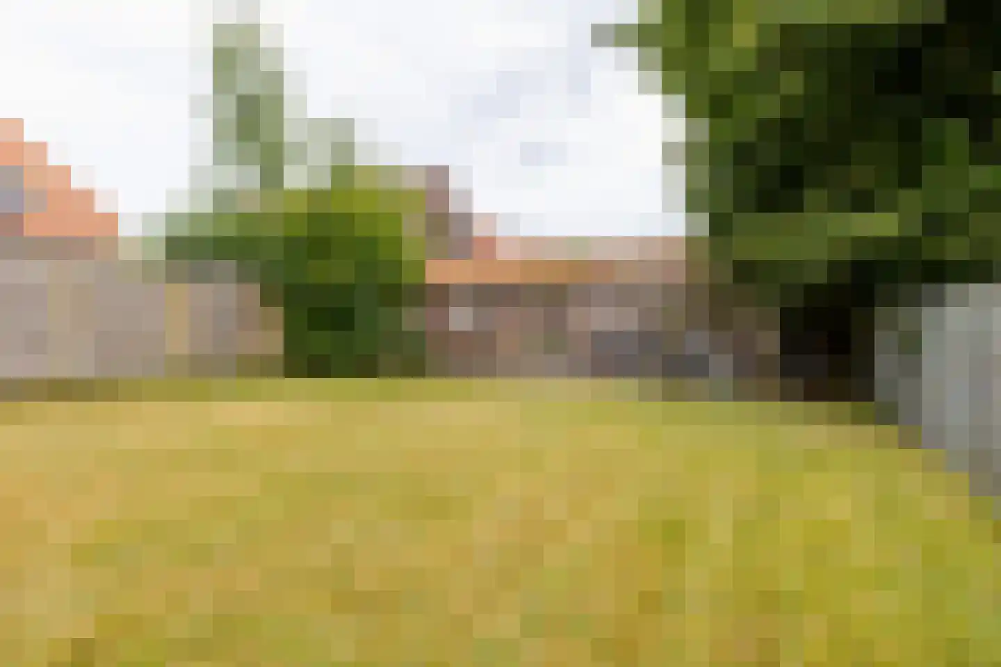 Gorredijksterweg 59 Jubbega thumbnail 15