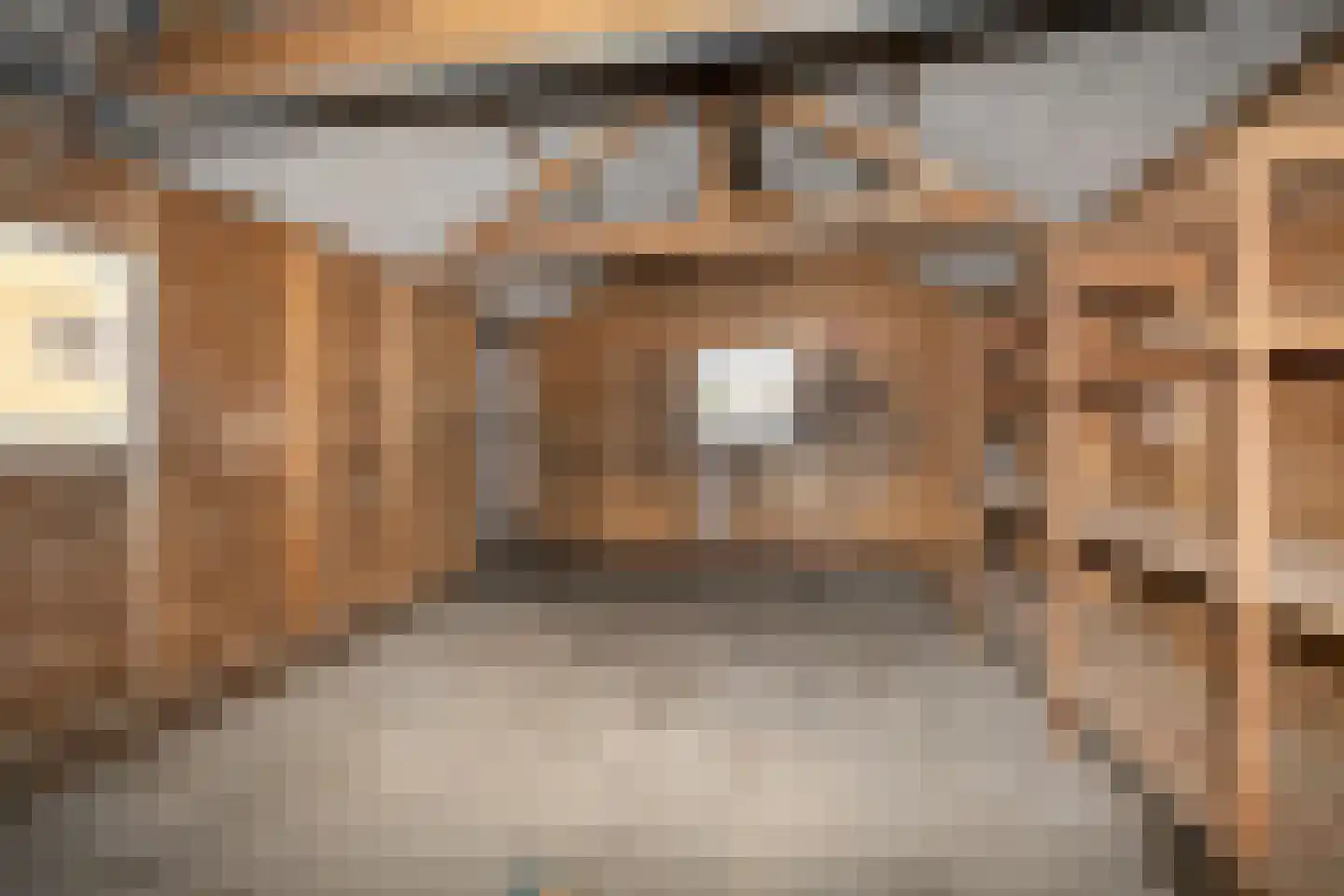 Gorredijksterweg 64 Jubbega thumbnail 18