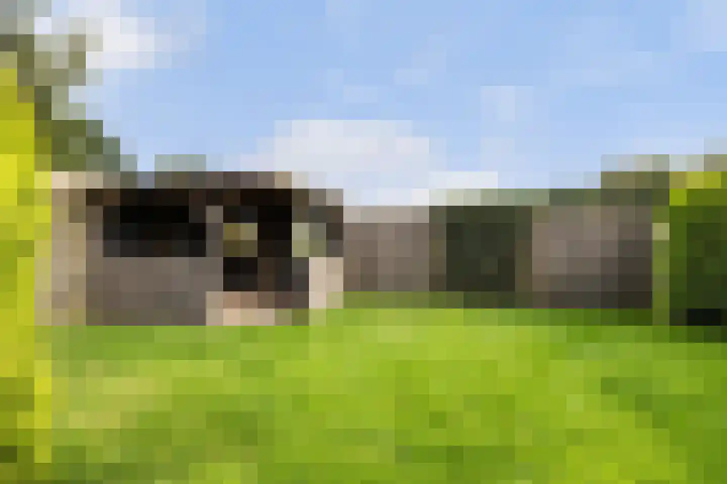 Gorredijksterweg 64 Jubbega thumbnail 21