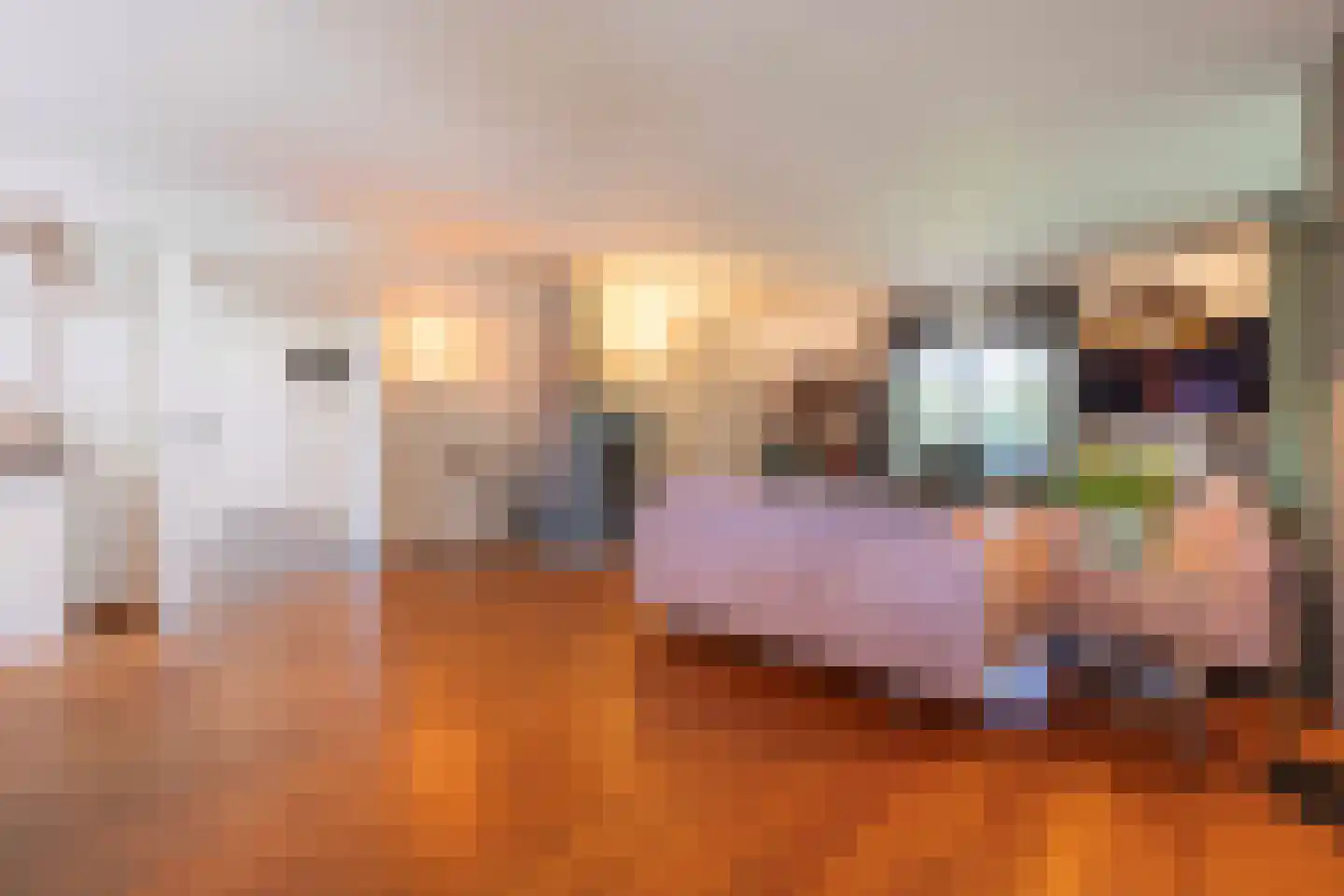Gors 111 Hoeven thumbnail 10