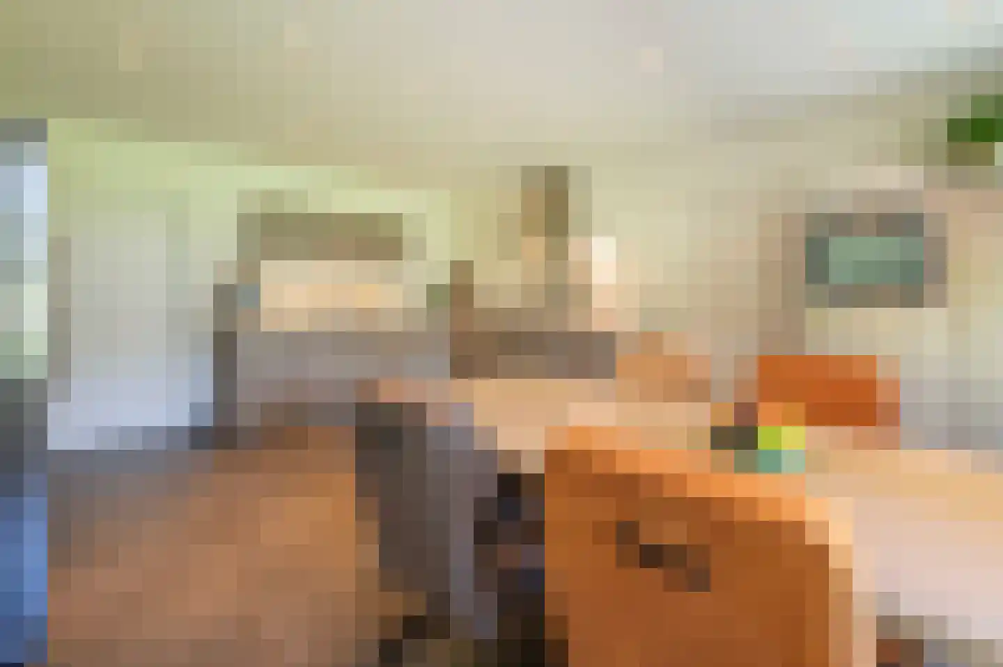 Gors 111 Hoeven thumbnail 17