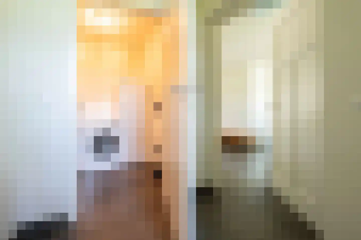 Gors 111 Hoeven thumbnail 20